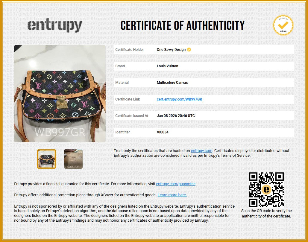 Takashi Murakami x Louis Vuitton Sologne Crossbody