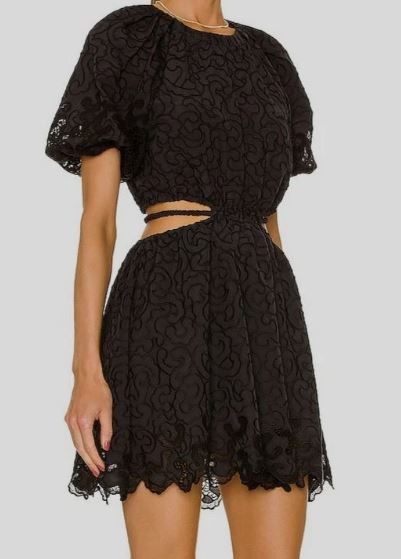 Anaise Cutout Dress | New with Tags